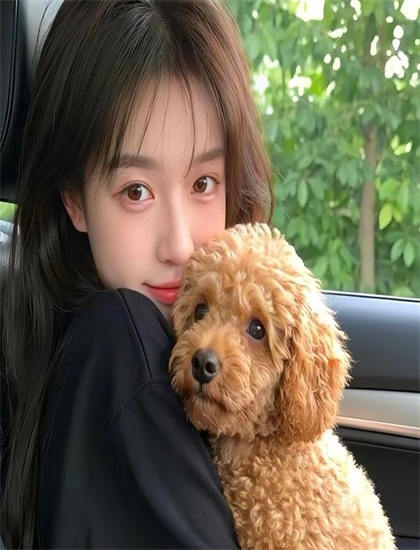 重新认识《运气巴士》的审美特点与艺术成就——商业与艺术的平衡